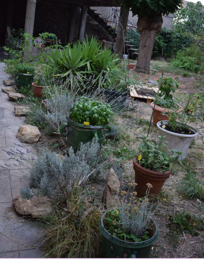 קרקסון Art Home Bnb מראה חיצוני תמונה